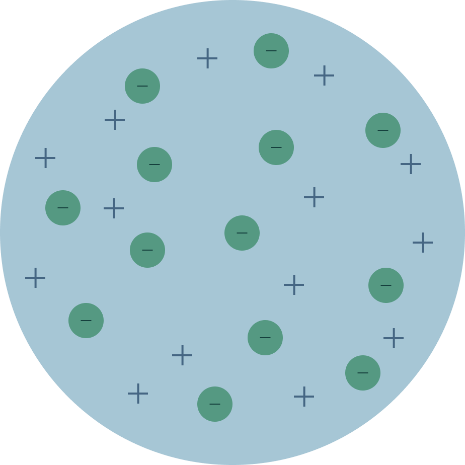 A diagram of the plum pudding model